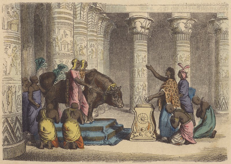 Adoração ao Touro Apis no Antigo Egipto (gravura colorida) de German School