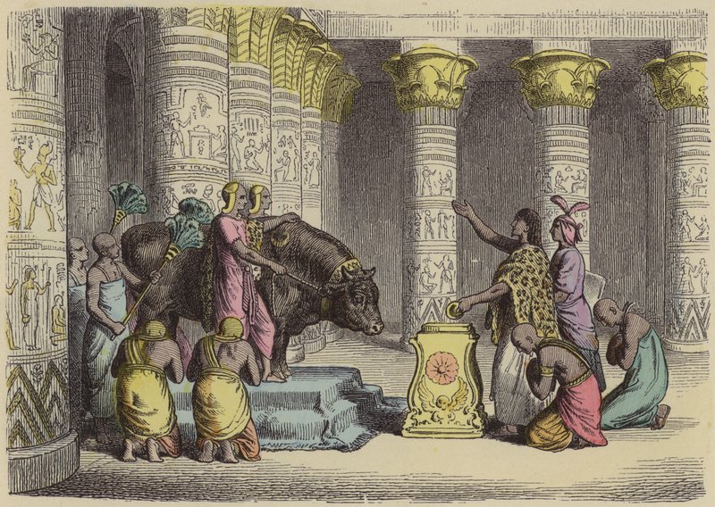 Adoração ao Touro Apis no Antigo Egipto (gravura colorida) de German School