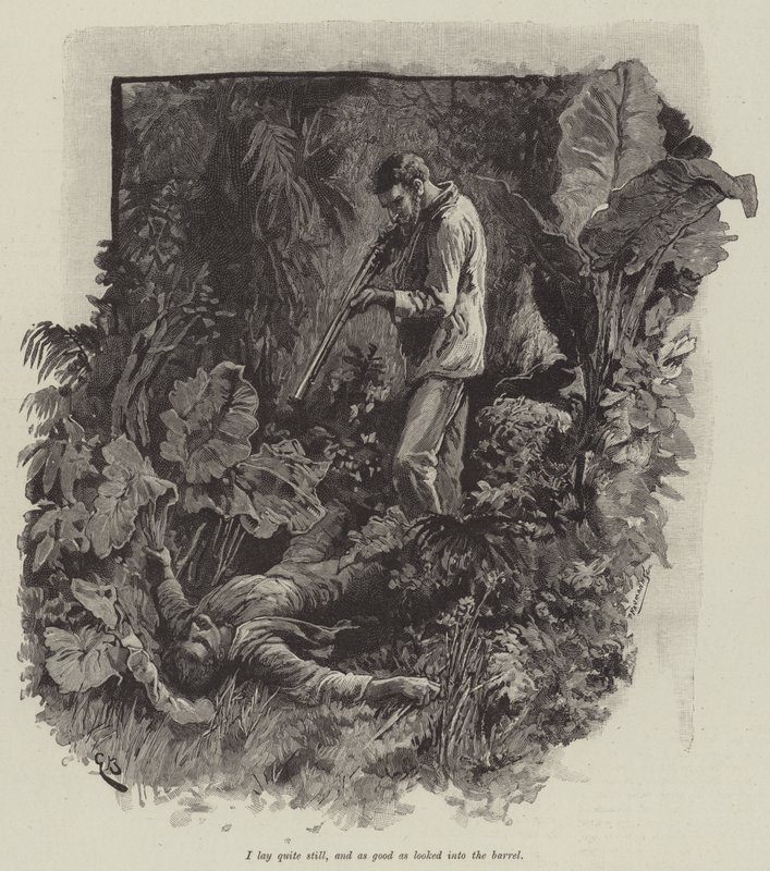 Uma, ou a praia de Falesa, por Robert Louis Stevenson de Gordon Frederick Browne