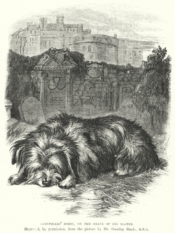 Bobby dos Greyfriars, na Túmulo do seu Mestre (gravura) de Gourlay Steel