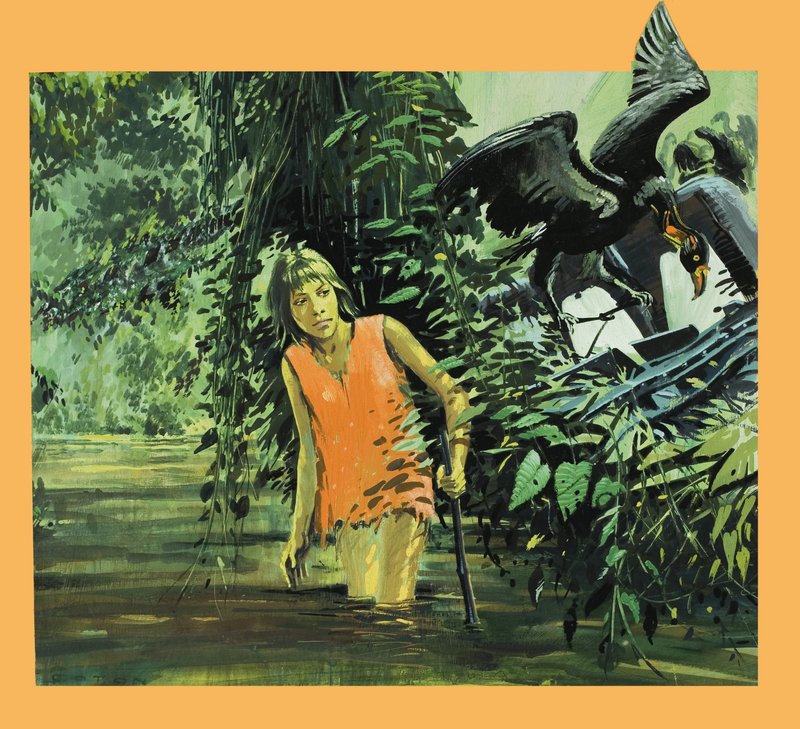 Perdido na selva de Graham Coton