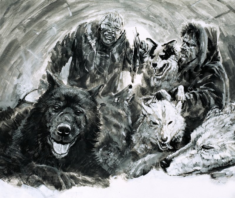 Vilhjalmar Stefansson descobriu esquimós loiros (guache sobre papel) de Graham Coton