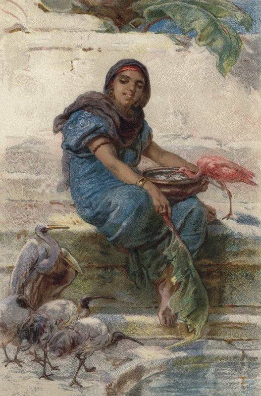 Alimentar as Aves Sagradas (cor litho) de Guido Bach
