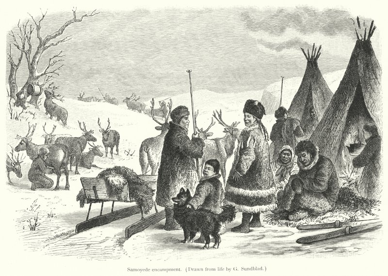 Acampamento Samoyede (gravura) de Gustav (after) Sundblad