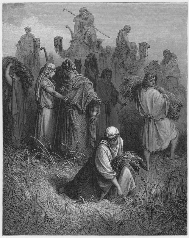 Gustave Dore Bíblia: Boaz e Ruth de Gustave Dore
