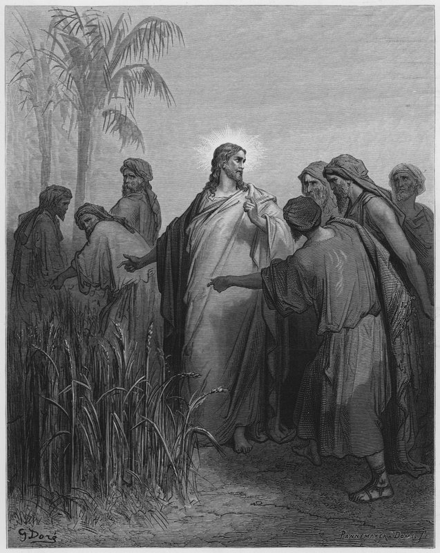 Gustave Dore Bible: Jesus e seus discípulos no milharal de Gustave Dore