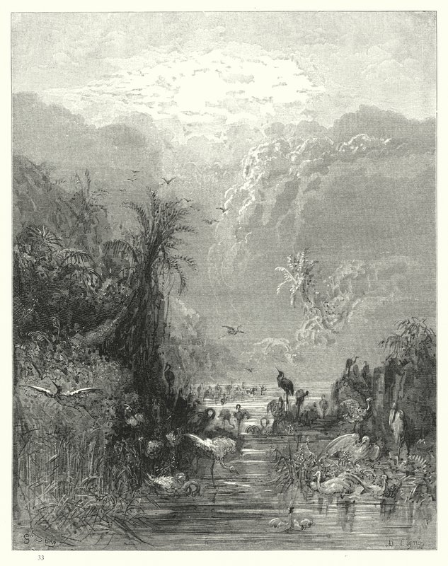 Ilustração de Gustave Dore para Miltons Paradise Lost, Livro VII, linhas 417, 418 de Gustave Dore