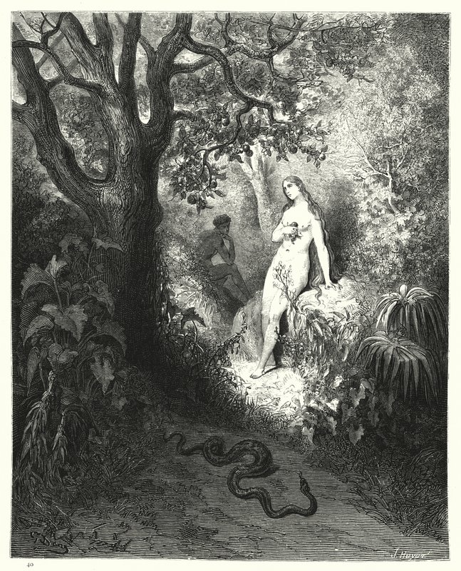 Ilustração de Gustave Dore para Miltons Paradise Lost, Livro IX, linhas 784, 785 de Gustave Dore