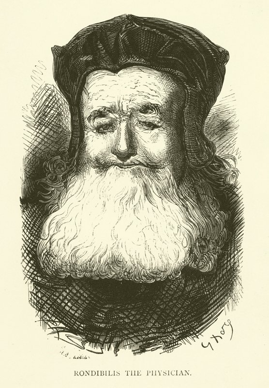 Ilustração para as obras de Rabelais de Gustave after Dore