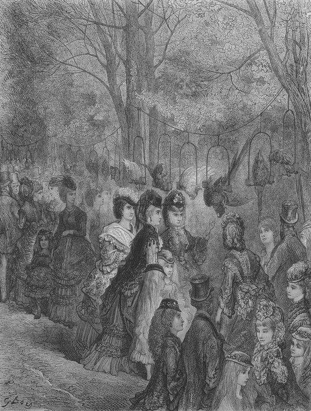 Zoológico, os pássaros de Gustave after Dore