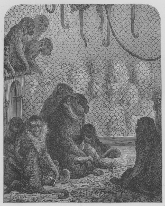 Zoológico, macacos de Gustave after Dore