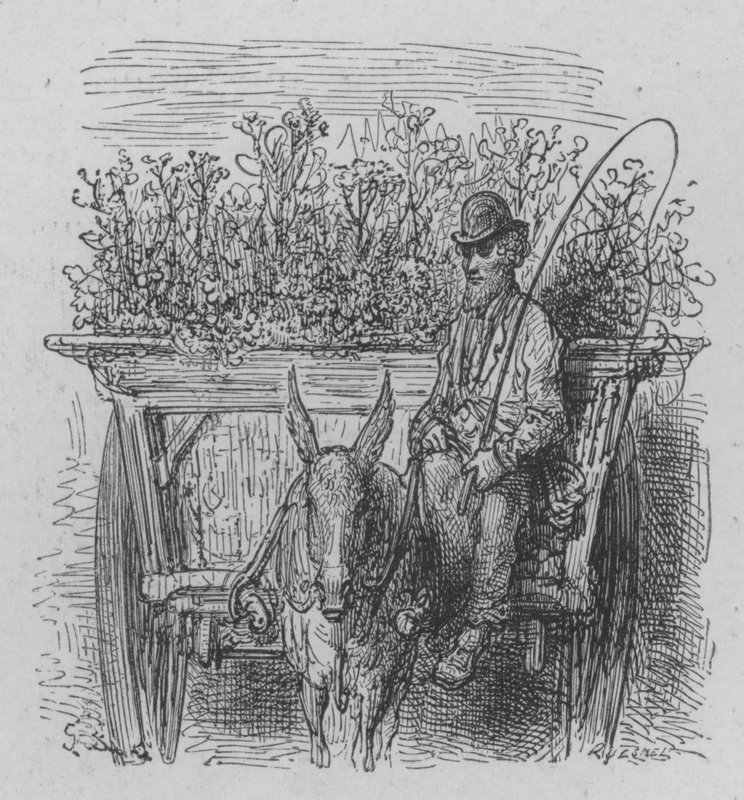 O florista ambulante de Gustave after Dore