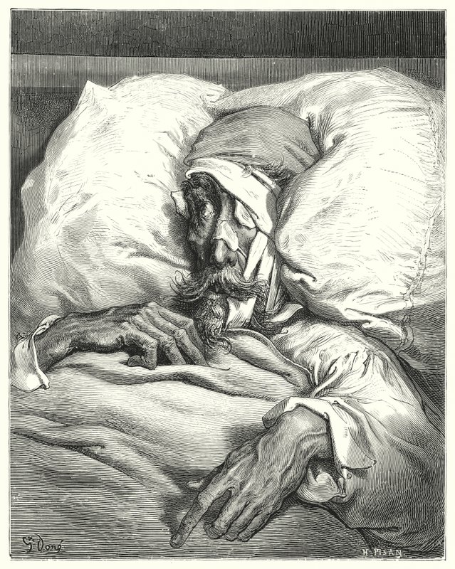 Gustave Dores Dom Quixote: "Dom Quixote, tão infortunadamente ferido, estava extremamente amuado e melancólico" (gravura) de Gustave Dore