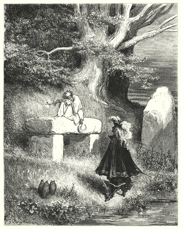 Pele de burro de Gustave Dore