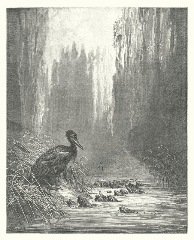 As Fábulas de La Fontaine: O corvo-marinho e os peixes (gravura) de Gustave Dore