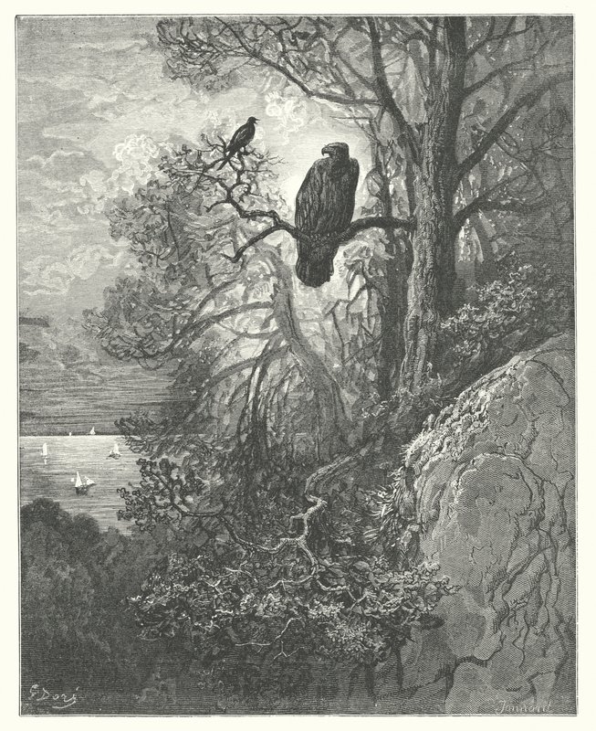 As Fábulas de La Fontaine: A águia e a pega (gravura) de Gustave Dore