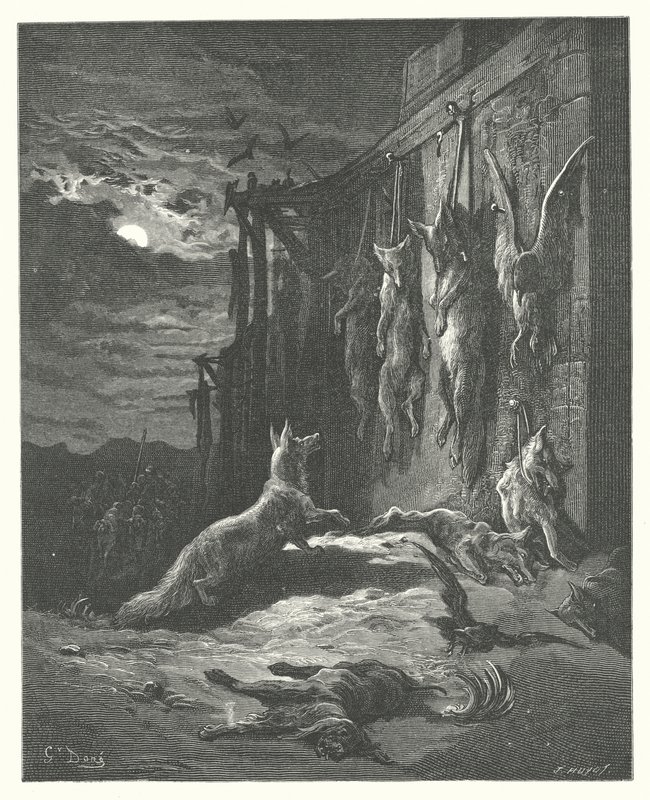 As Fábulas de La Fontaine: A Raposa Inglesa (gravura) de Gustave Dore