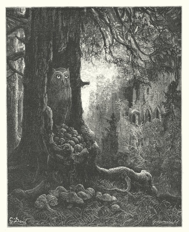 As Fábulas de La Fontaine: A Coruja e os Ratos (gravura) de Gustave Dore