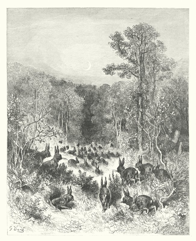 As Fábulas de La Fontaine: Os Coelhos (gravura) de Gustave Dore