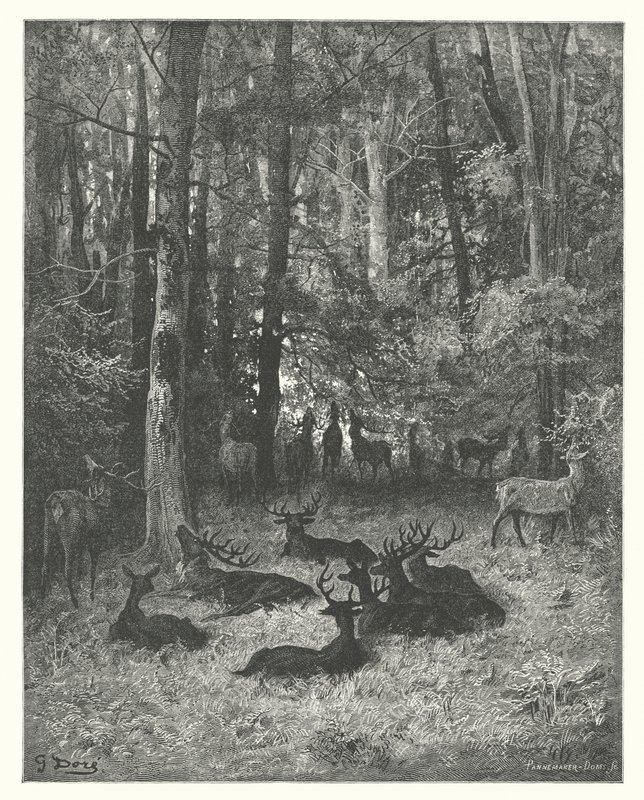 As Fábulas de La Fontaine: O veado doente (gravura) de Gustave Dore