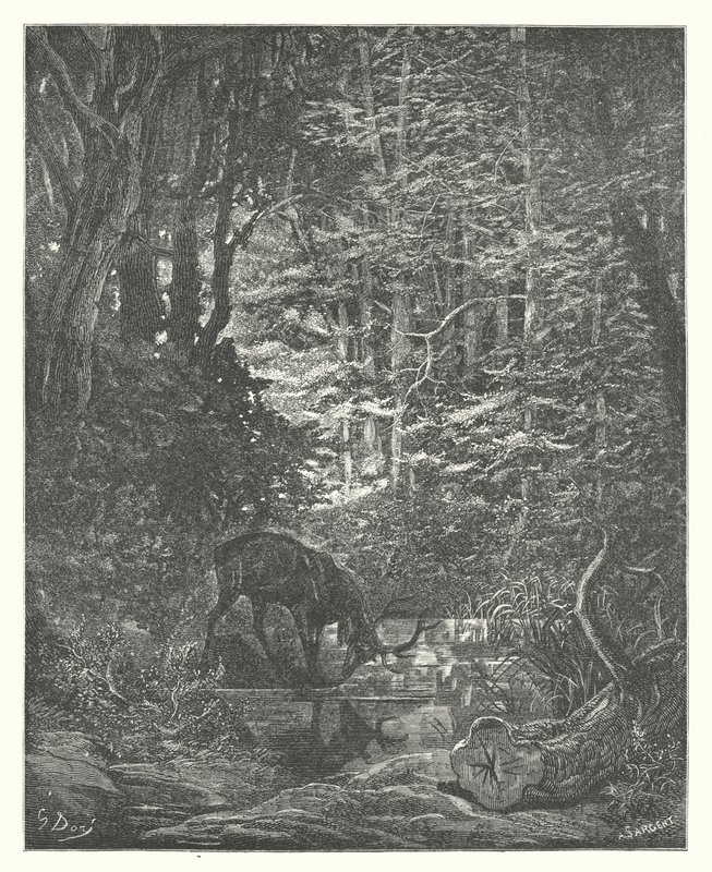 As Fábulas de La Fontaine: O veado que se vê na corrente (gravura) de Gustave Dore