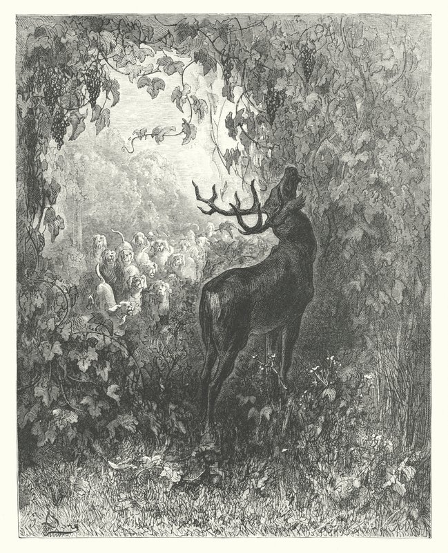 As Fábulas de La Fontaine: O veado e a videira (gravura) de Gustave Dore