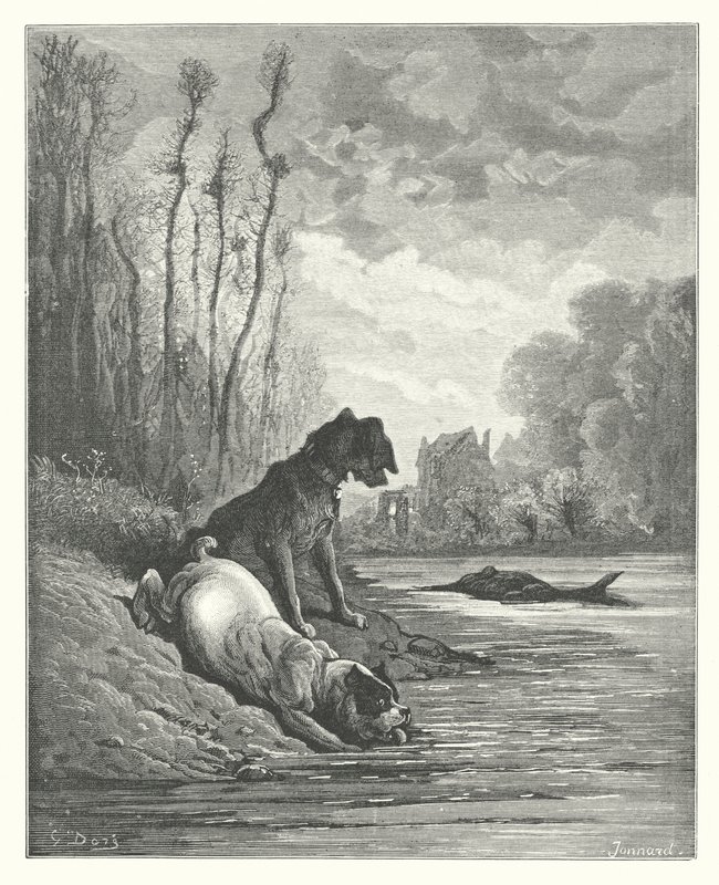 As Fábulas de La Fontaine: Os dois cães e o asno morto (gravura) de Gustave Dore