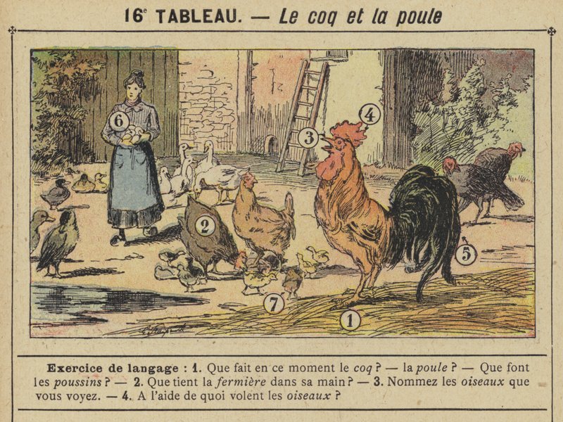 O galo e a galinha (cor litho) de Gustave Fraipont