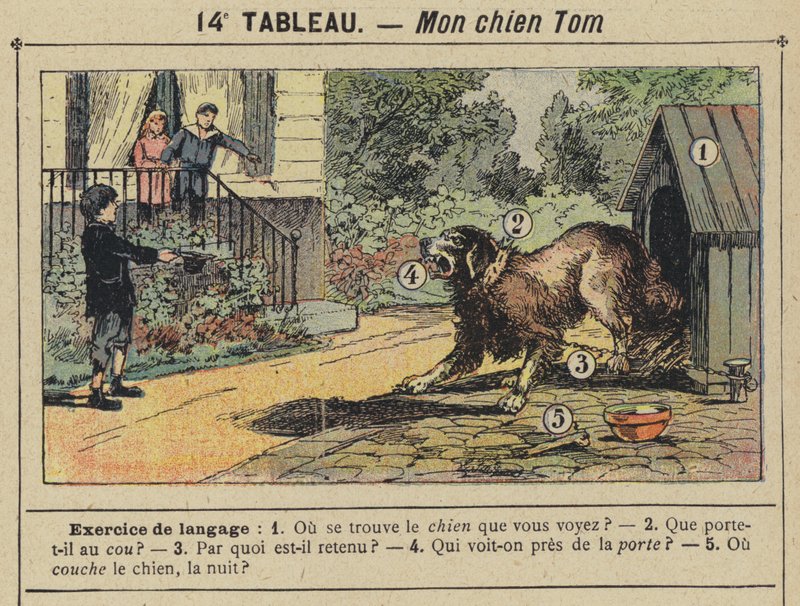 O meu cão Tom (cor litho) de Gustave Fraipont