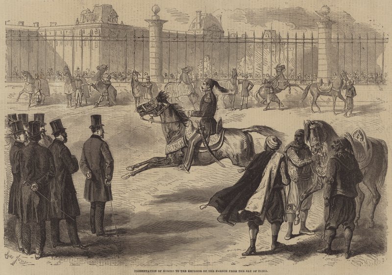 Apresentação de cavalos ao imperador dos franceses do Bey de Tunis de Gustave Janet