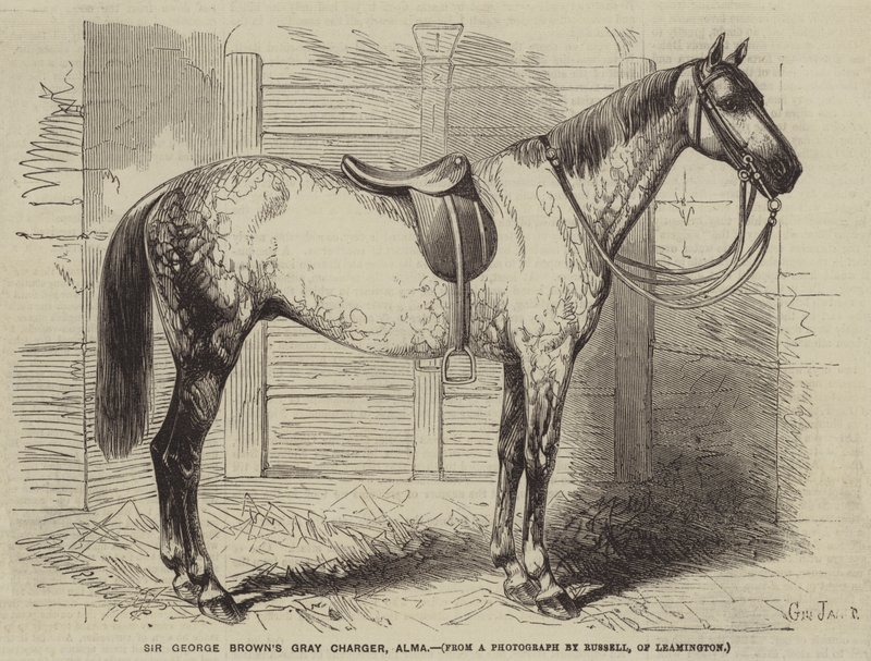 Sir George Browns Carregador Cinzento, Alma de Gustave Janet