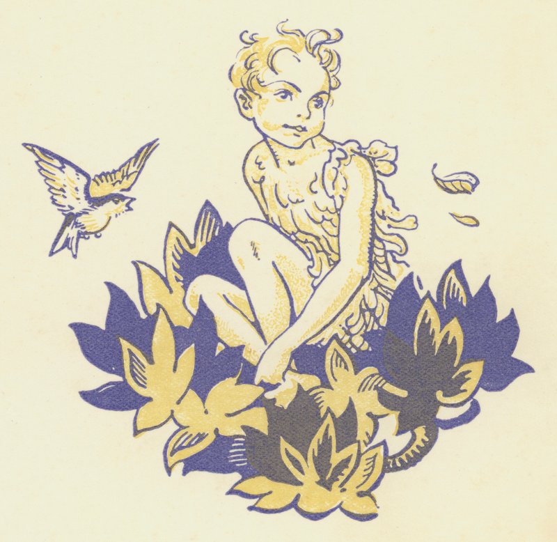 Peter Pan e Wendy: Peter Pan (lito colorido) de Gwynedd M. Hudson