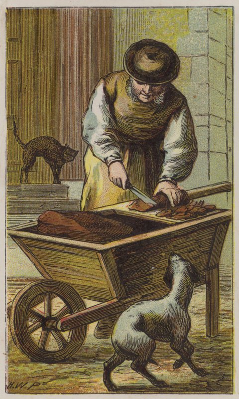 Homem da Carne de Gato (cor litho) de H.W. (after) Petherick