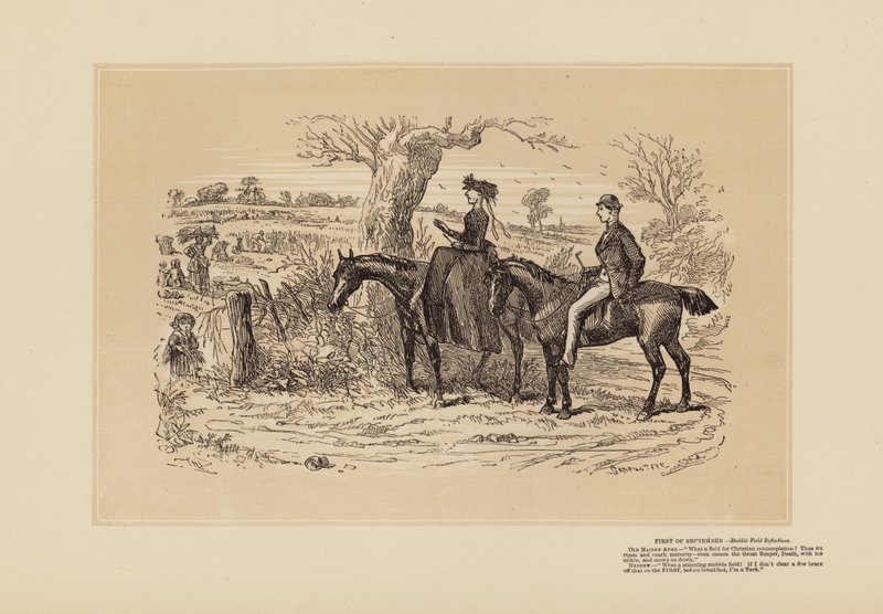 Um excelente campo de reflexão (gravura) de Hablot Knight (1815 92) Browne
