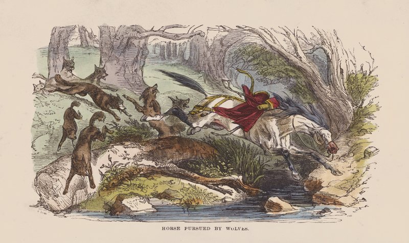Cavalo perseguido por lobos (gravura colorida) de after Hablot Knight Browne