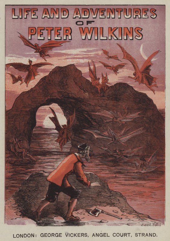 Vida e Aventuras de Peter Wilkins (cor litho) de after Hablot Knight Browne