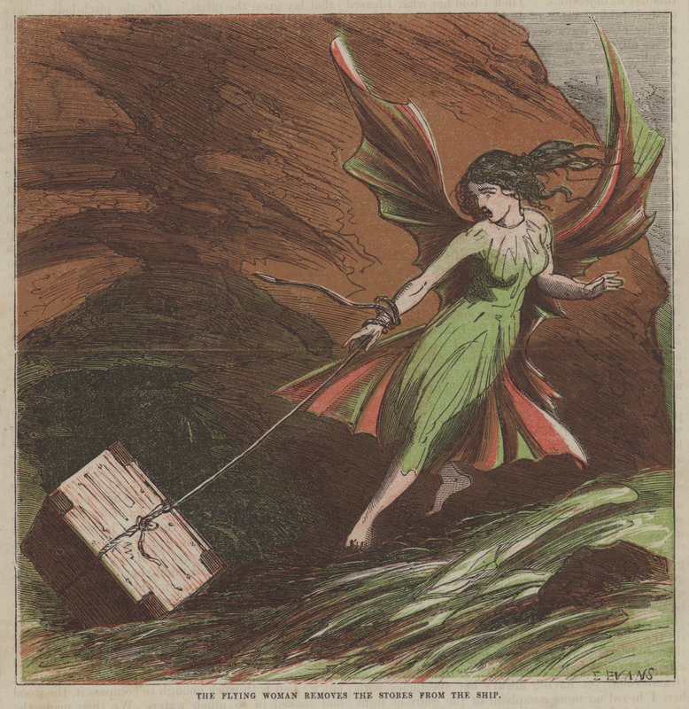 A mulher voadora retira as lojas do navio (cor litho) de after Hablot Knight Browne