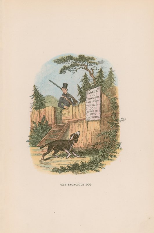 Ilustração para papéis de Pickwick de Hablot Knight Browne