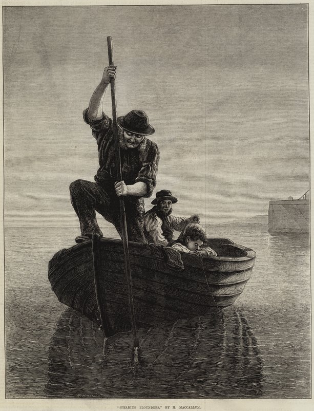 Solhas de lixa de Hamilton Macallum
