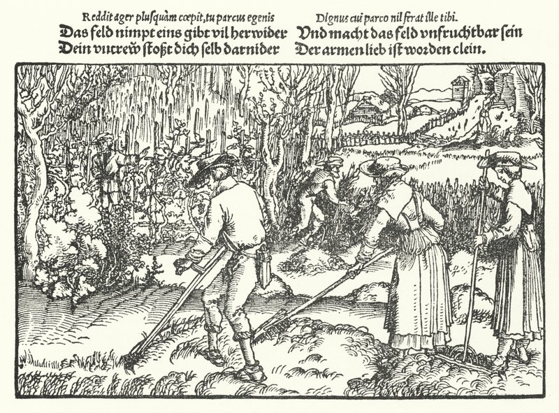 Os ceifeiros (gravura) de Hans (after) Burgkmair