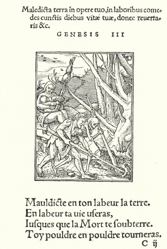 A Maldição sobre a Terra e sobre o Homem (gravura) de Hans (after) Holbein the Younger