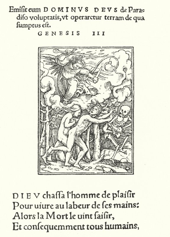 A Força Motriz do Éden (gravura) de Hans (after) Holbein the Younger