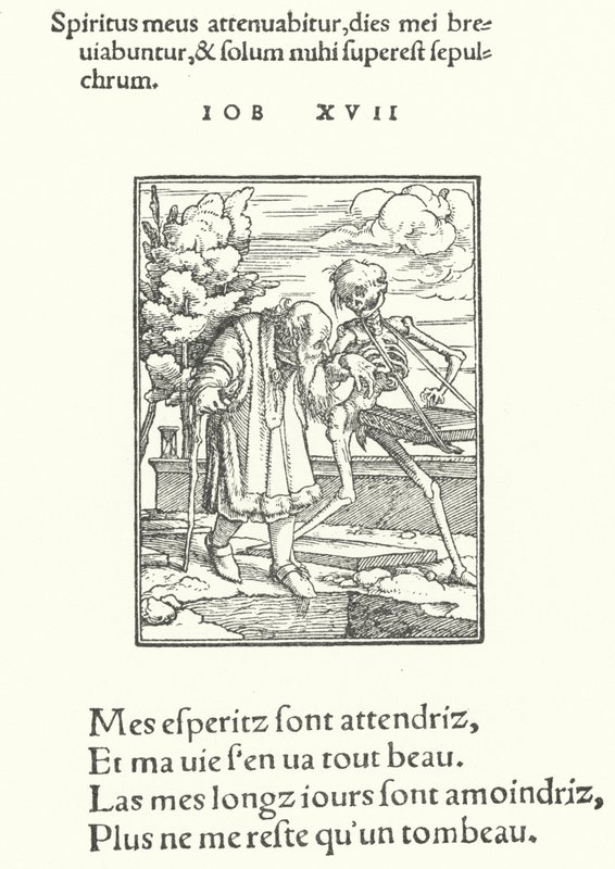 O Velho (gravura) de Hans (after) Holbein the Younger