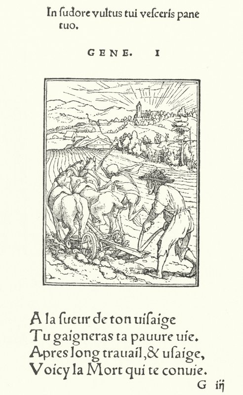 O Lavrador, ou Agricultor (gravação) de Hans (after) Holbein the Younger