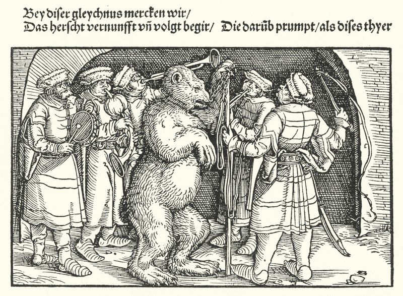 Sapatilhas The Bear de Hans Burgkmair