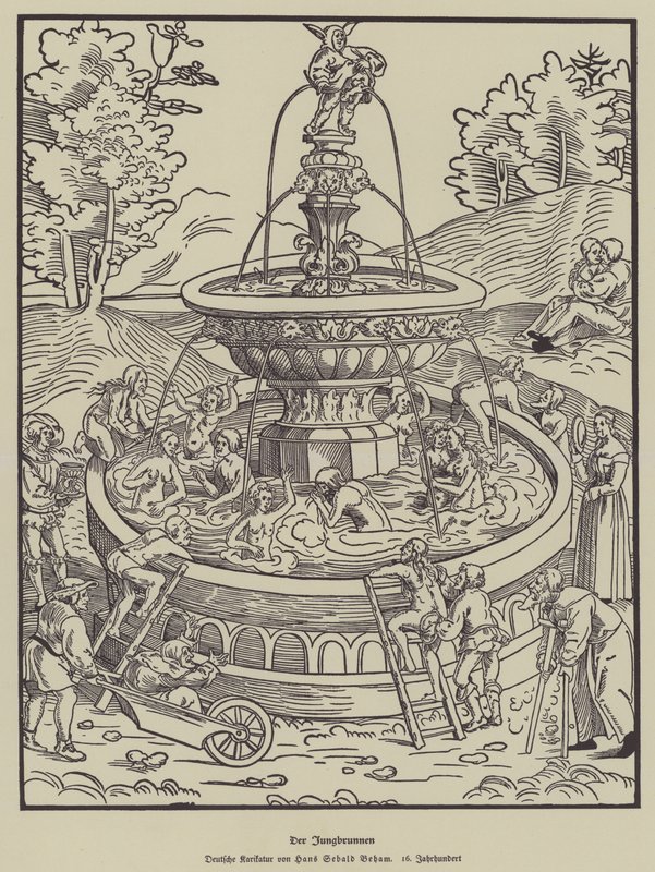 A fonte da juventude, século XVI de Hans Sebald Beham