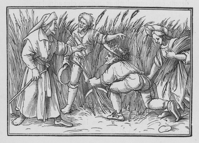 Rute Gleaneth nos campos de Boaz, Ruth II, 5 de Hans after Holbein the Younger