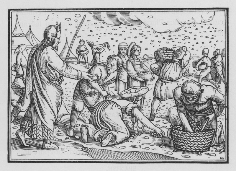 Os israelitas murmuram por falta de pão, Êxodo XVI, 4 de Hans after Holbein the Younger