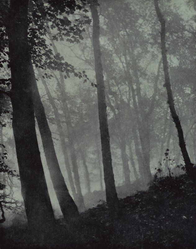 passeios em arco de bosques crepusculares E sombras marrons De pinho, ou carvalho monumental, Milton (foto p/b) de Harold Burdekin