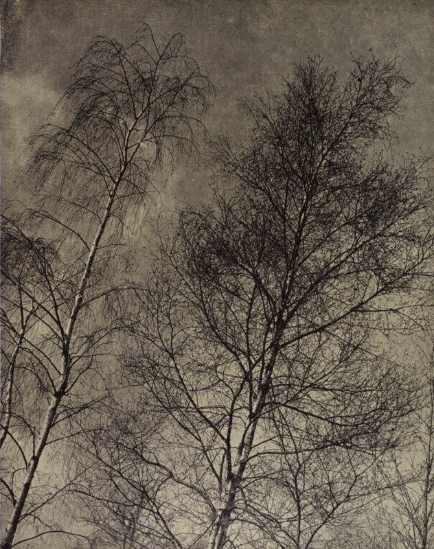 seu charme está escrito Ao longo de um céu líquido, Robert Bridges (foto p/b) de Harold Burdekin